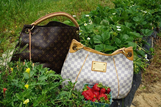 Pawn Shop «Braswell & Son Pawnbrokers», reviews and photos, 9101 W Markham St, Little Rock, AR 72205, USA