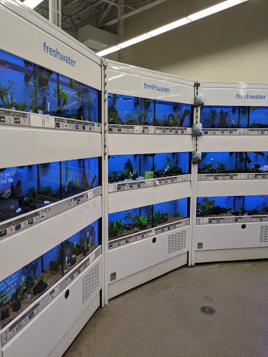 Pet Supply Store «Petco Animal Supplies», reviews and photos, 2115 N Decatur Rd, Decatur, GA 30033, USA