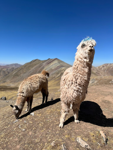 SA Expeditions image