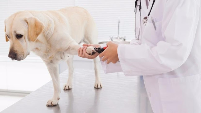 Tierarztpraxis Schauenberg