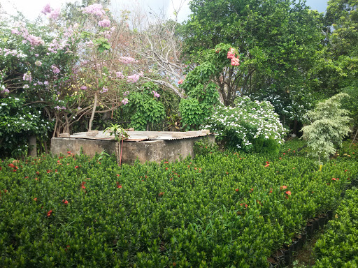 Jardin Isabelita