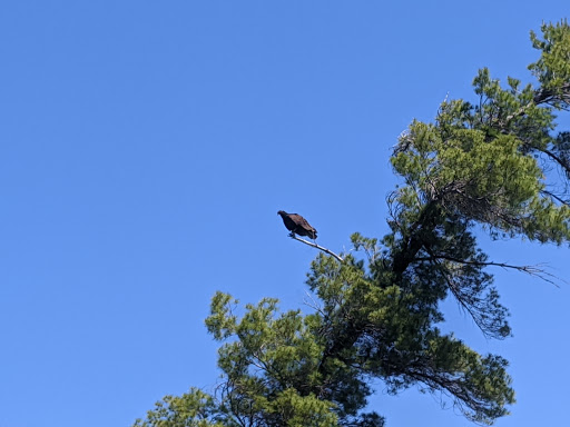 Canoe & Kayak Rental Service «Crystal River Outfitters Recreational District», reviews and photos, 6249 River Rd, Glen Arbor, MI 49636, USA