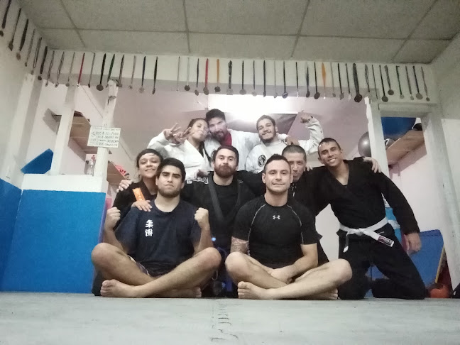 Opiniones de Dojo Anakukai - La Barba Jiujitsu en Providencia - Gimnasio