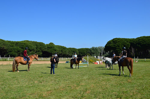 Centre équestre Les poneys de Sophie Fréjus