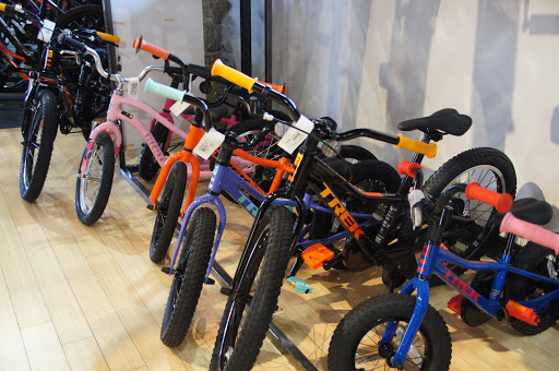 Bicycle Store «Freewheel Bike Eden Prairie», reviews and photos, 12910 Plaza Dr, Eden Prairie, MN 55344, USA