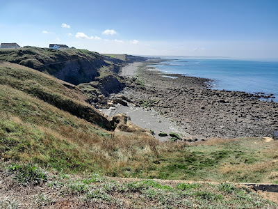 Cran aux œufs à Audinghen