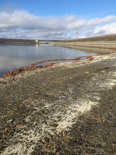 Tourist Attraction «West Branch State Park Beach», reviews and photos, Esworthy Rd, Ravenna, OH 44266, USA
