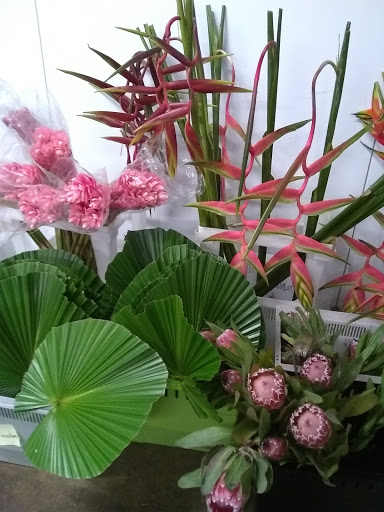 Florist «Botanica Wholesale Florist», reviews and photos, 3208 International Pl, Irving, TX 75062, USA