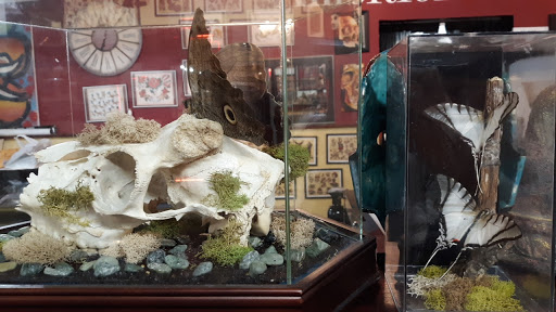 Explore women's tattoo placement ideas, creative tattoo ideas in Knoxville, available at Ambition Tattoo