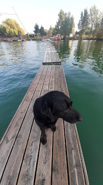 Photos du propriétaire du Restaurant Teleski nautique de Bram - n°9