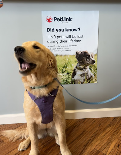 Preventive Paws Spay Center image