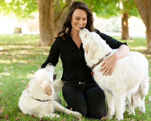 Waggle Tails | Dog & Puppy Training Perth