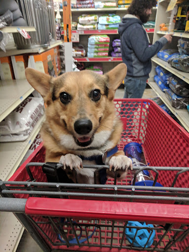 Home Improvement Store «Tractor Supply Co.», reviews and photos, 9630 Ida St, Omaha, NE 68122, USA