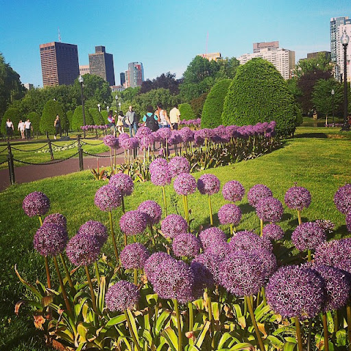 Arena «TD Garden», reviews and photos, 100 Legends Way, Boston, MA 02114, USA