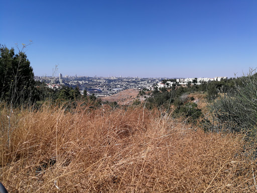 מגורי נכים ירושלים