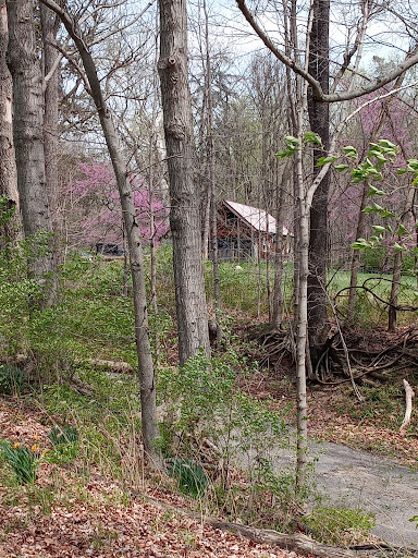 Recreation Center «Go Ape Zip Line & Treetop Adventure - Eagle Creek Park», reviews and photos, 5855 Delong Rd, Indianapolis, IN 46254, USA