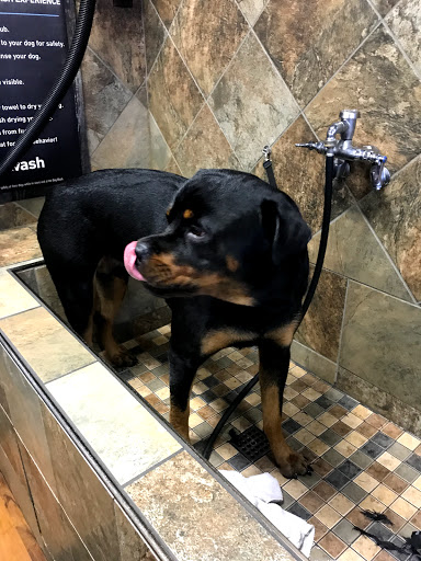 Pet Supply Store «Pet Valu», reviews and photos, 411 Valley Brook Ave, Lyndhurst, NJ 07071, USA