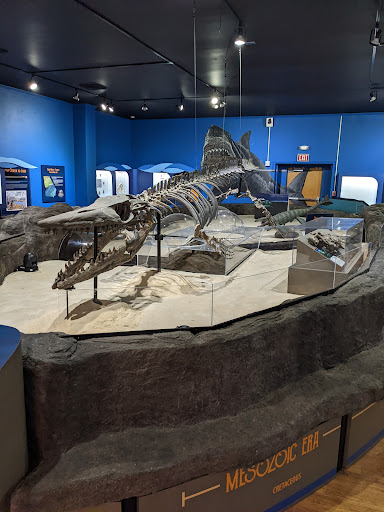 Museum «Museum», reviews and photos, 2142 Southern Dr, Statesboro, GA 30458, USA