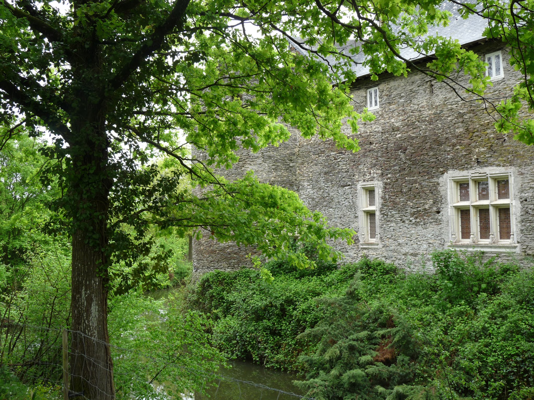 Photo n° 18 de l'avis de Guillaume.i fait le 16/05/2019 à 19:52