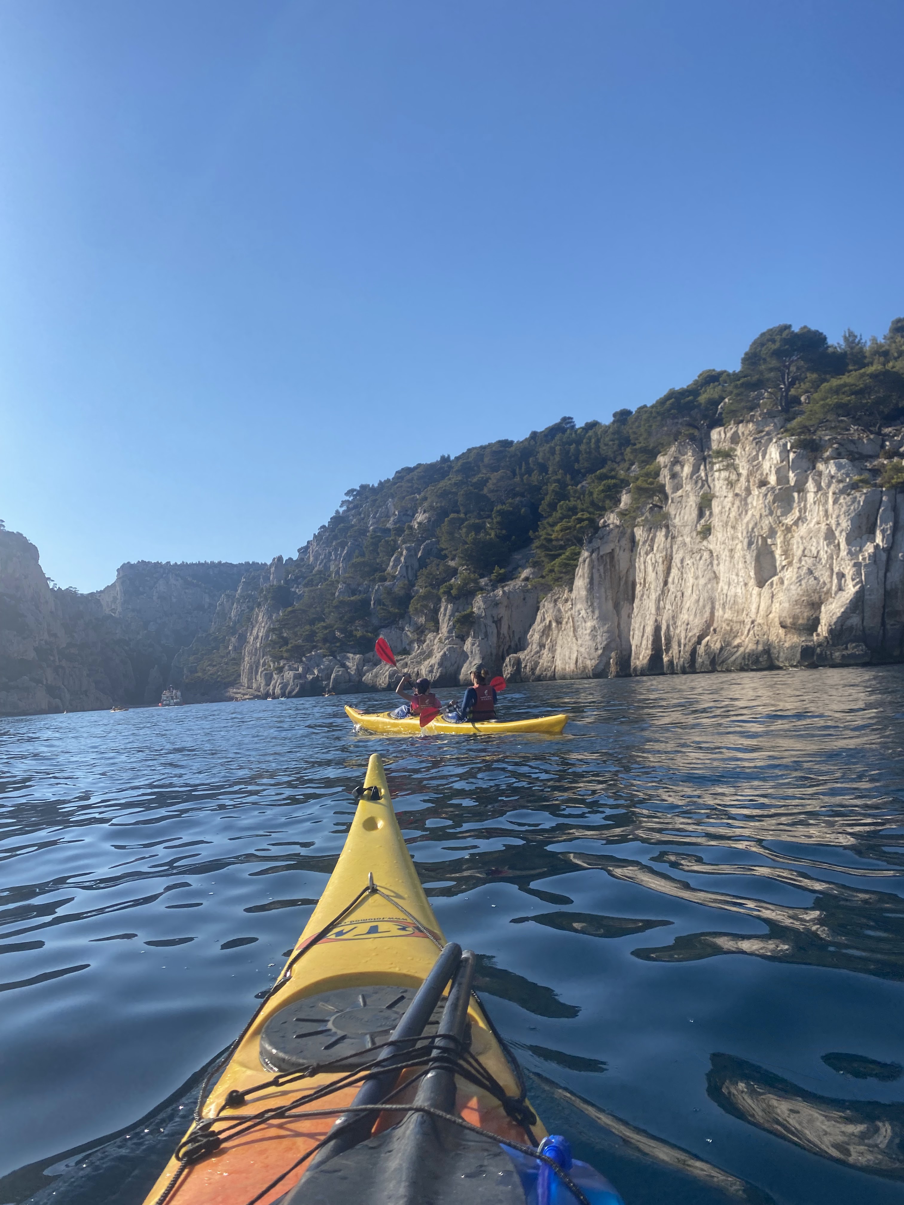 Photo n° 1 de l'avis de JuM. fait le 03/08/2023 à 08:53