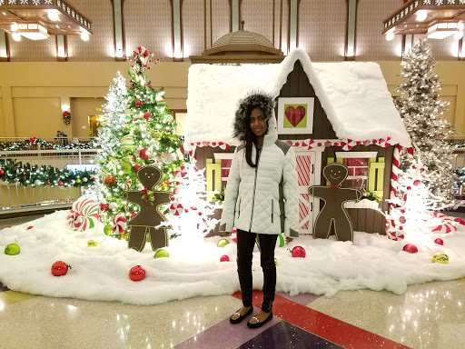 Casino «Grand Victoria Casino», reviews and photos, 250 S Grove Ave, Elgin, IL 60120, USA