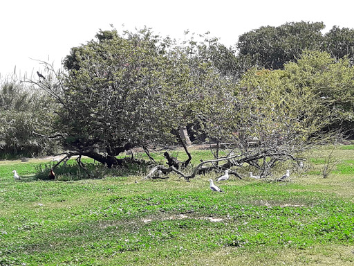 הגן למחקר הזואולוגי