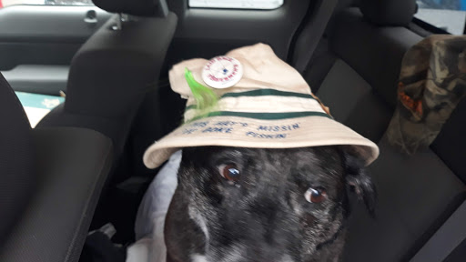 Pet Supply Store «Pet Supplies Plus», reviews and photos, 1510 Scranton Carbondale Hwy, Scranton, PA 18508, USA