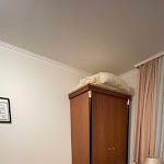 Photo n°2 de l'avis de S.. fait le 06/12/2022 à 17:29 sur le  Hotel + Restaurant Am Fuhrkamp, Langenfeld Rheinland à Langenfeld