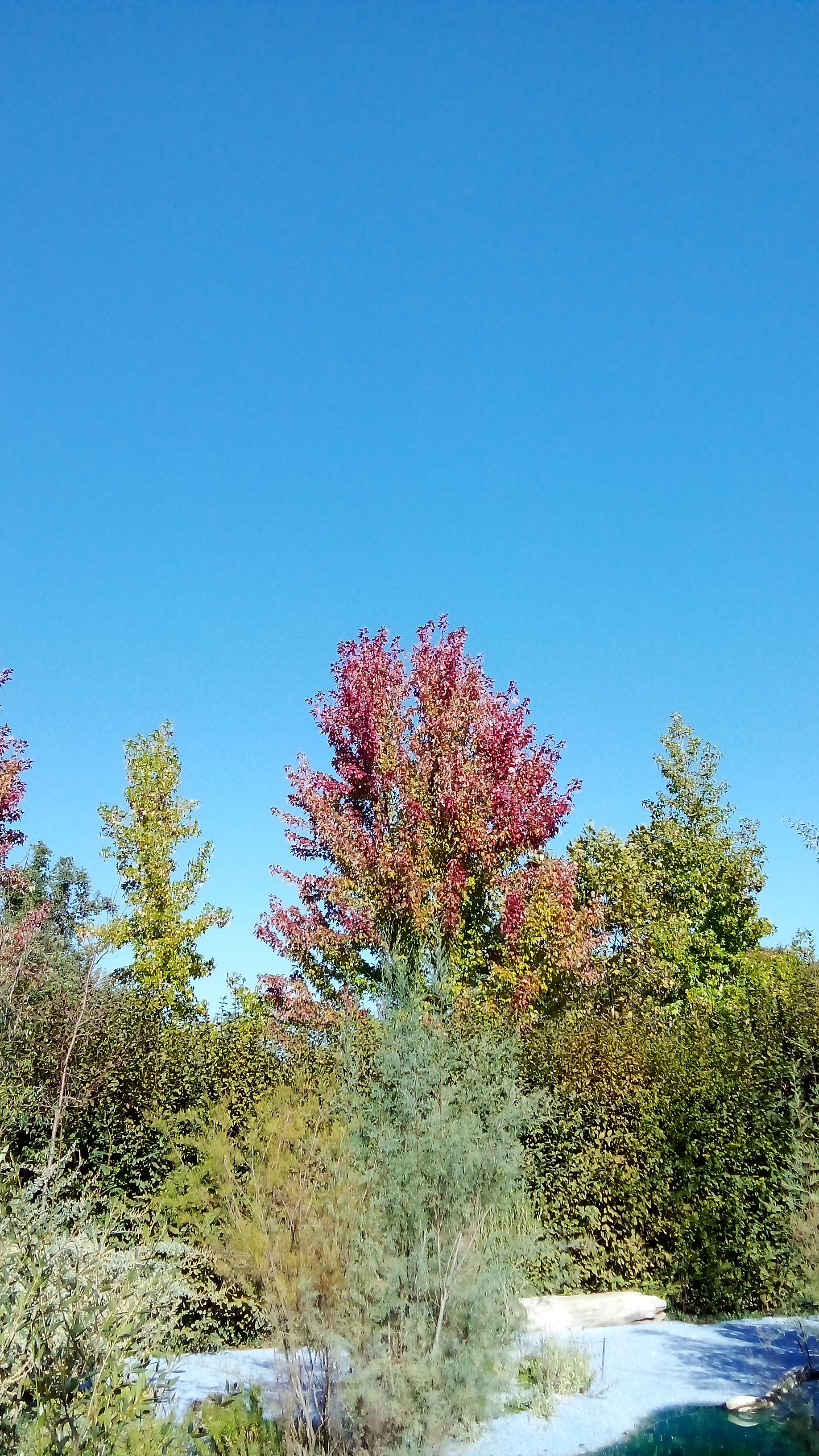 Photo n° 9 de l'avis de moel.o fait le 02/10/2023 à 17:52