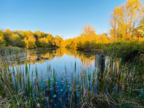 Defries Gardens ‒ River Preserve County Park Employees