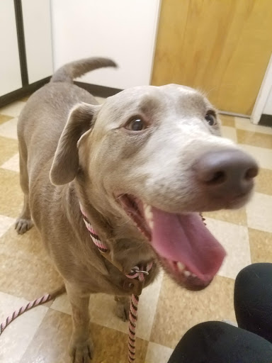 432 M St, Rio Linda, CA 95673, USA