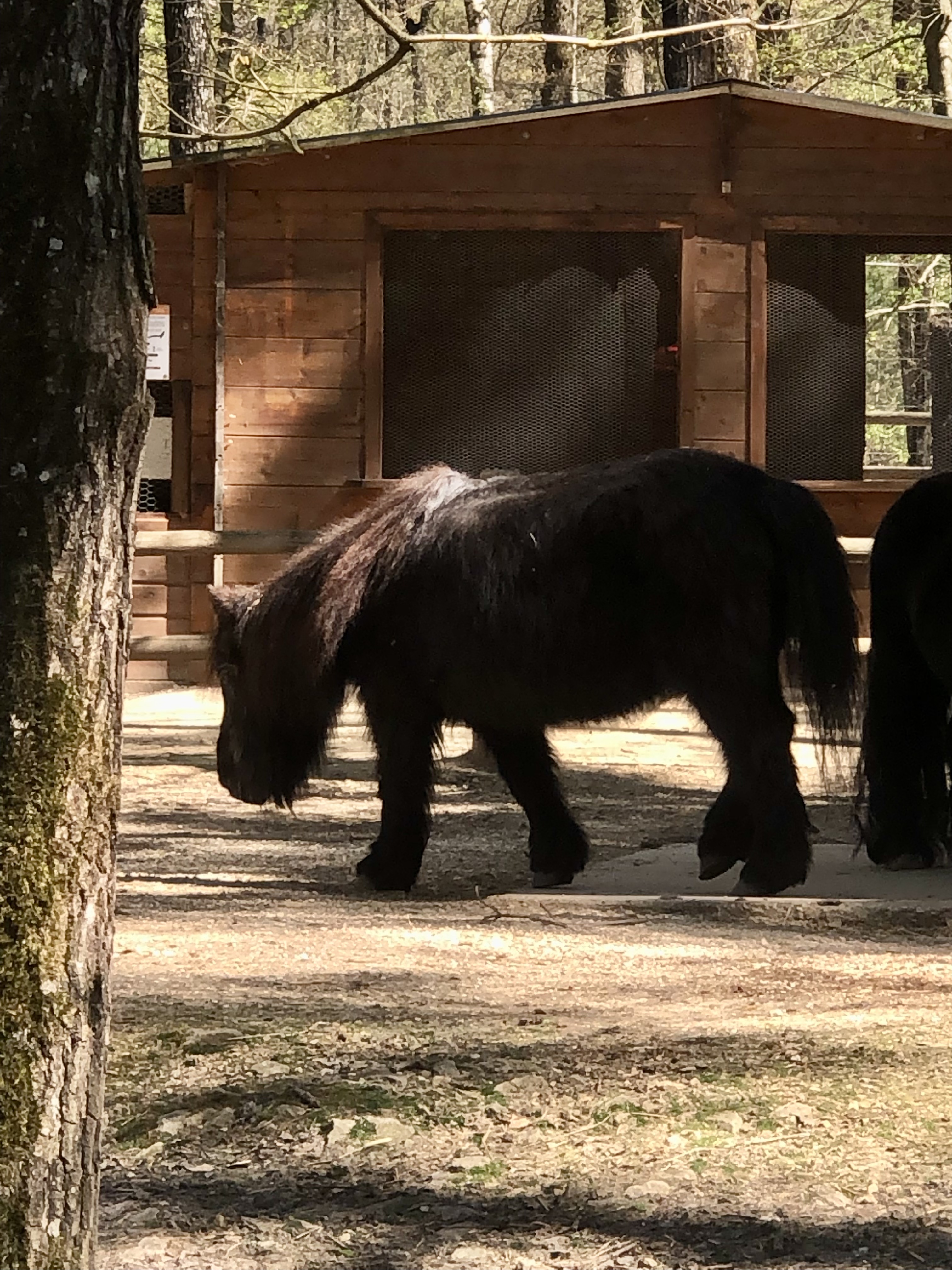 Photo n° 7 de l'avis de Ophelie.r fait le 19/04/2022 à 10:25
