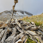 Photo n°3 de l'avis de Daniele.e fait le 12/10/2019 à 05:16 sur le  Angelo Sebastiani refuge à Micigliano