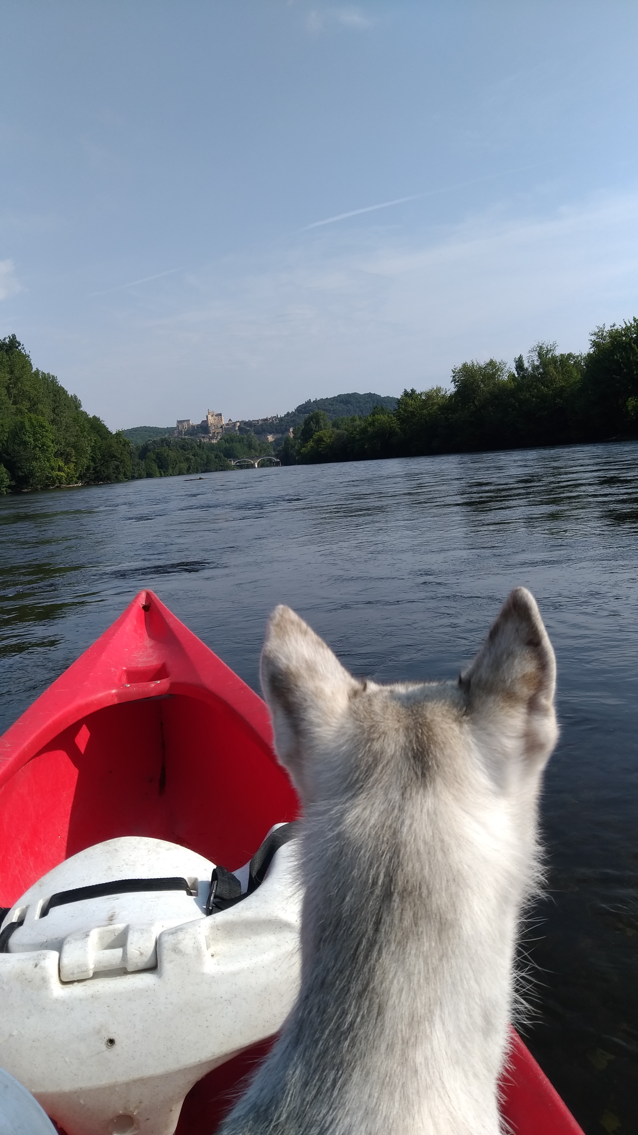 Photo n° 2 de l'avis de Laurent.u fait le 22/07/2022 à 15:40