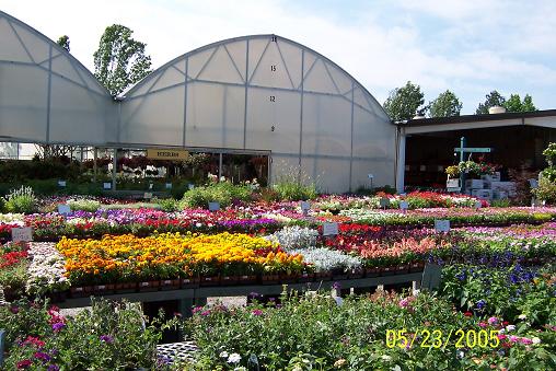 Plant nursery Athens