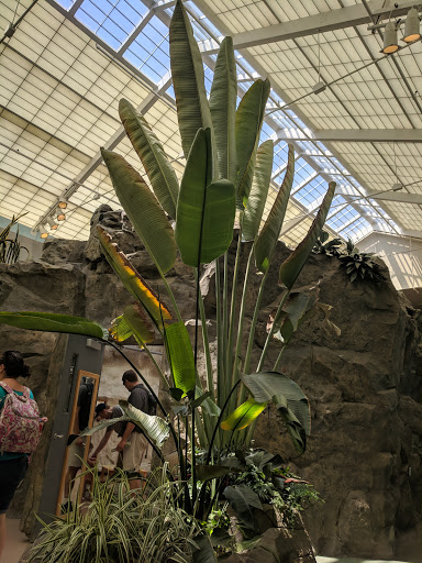 Zoo «Hamill Family Play Zoo», reviews and photos, 3300 Golf Rd, Brookfield, IL 60513, USA