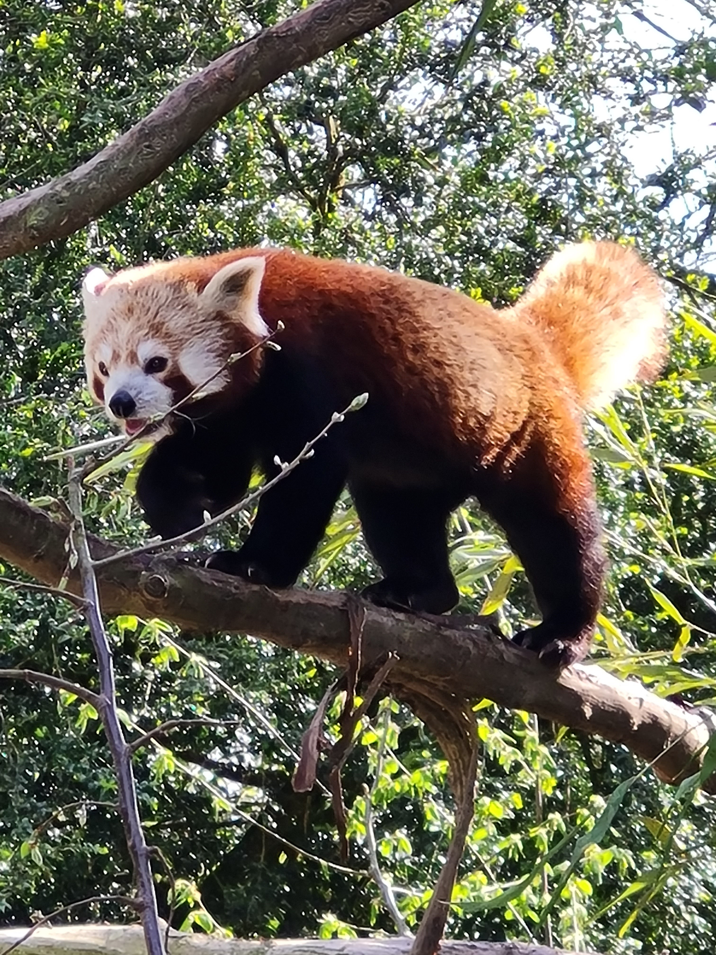 Photo n° 13 de l'avis de Stephanie.i fait le 07/05/2023 à 08:53