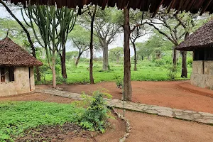 Tandala Tented Camps & Safaris Ltd. image