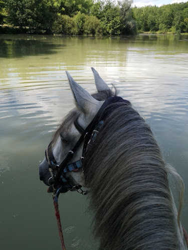 Ranch et Ferme du Saut du Loup à Miramont-de-Guyenne