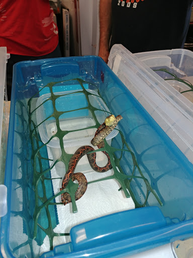 Pet Supply Store «Pet Den», reviews and photos, 1209 Nederland Ave, Nederland, TX 77627, USA