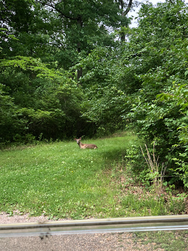 Golf Course «Sugar Creek Golf Course & Banquet Center», reviews and photos, 5224 Country Club Dr, High Ridge, MO 63049, USA