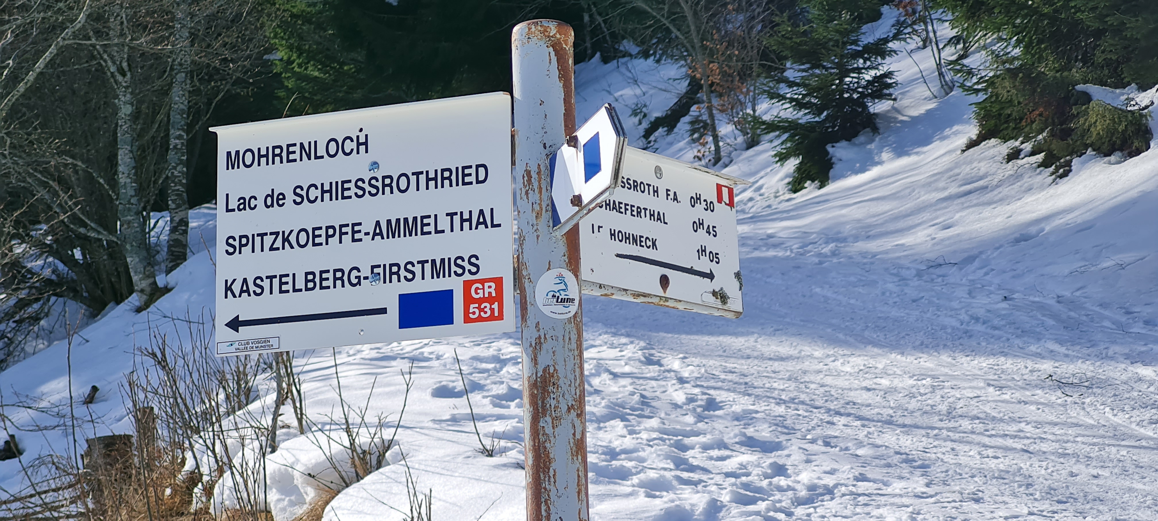 Photo n° 2 de l'avis de Gil.m fait le 13/02/2023 à 22:16