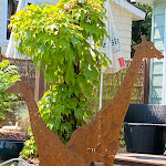 Photo n°6 de l'avis de Mark.a fait le 10/06/2023 à 15:07 sur le  zu Jeddelohs LODGE, HOTEL & RESTAURANT à Gladenbach