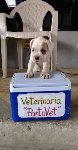 PortoVet Consultorio Veterinario 🐾 - Portoviejo