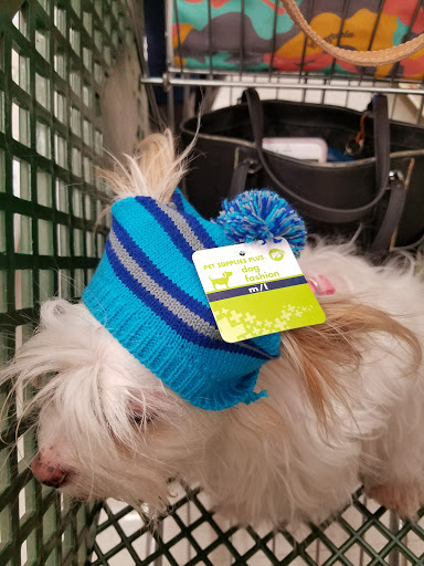 Pet Supply Store «Pet Supplies Plus», reviews and photos, 15034 San Pedro Ave Suite A, San Antonio, TX 78232, USA