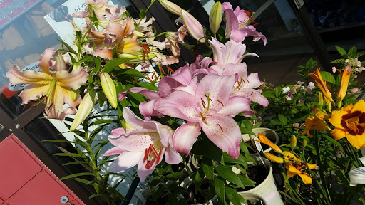 Hardware Store «Ham Lake Hardware Hank», reviews and photos, 17426 MN-65, Ham Lake, MN 55304, USA