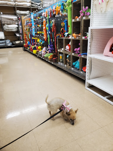Pet Supply Store «Petco Animal Supplies», reviews and photos, 16639 Sierra Lakes Pkwy, Fontana, CA 92336, USA