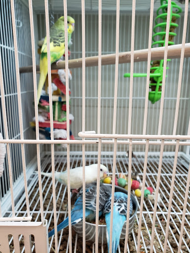 Pet Supply Store «Pet Supplies Plus», reviews and photos, 605 Grand Central Ave, Vienna, WV 26105, USA