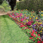 Photo n° 4 de l'avis de julie.u fait le 10/04/2022 à 07:39 pour Jardin des Plantes de Coutances à Coutances