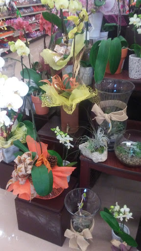 Grocery Store «Albertsons», reviews and photos, 1930 N Placentia Ave, Fullerton, CA 92831, USA